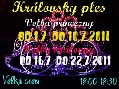 Volba princezny ms.jpg